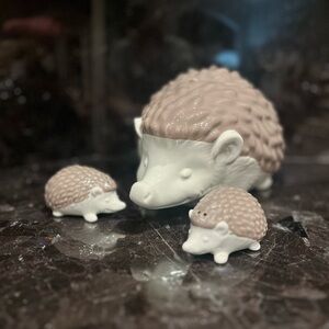 Cute Hedgehog Ceramic Cookie Jar & Matching Salt & Pepper